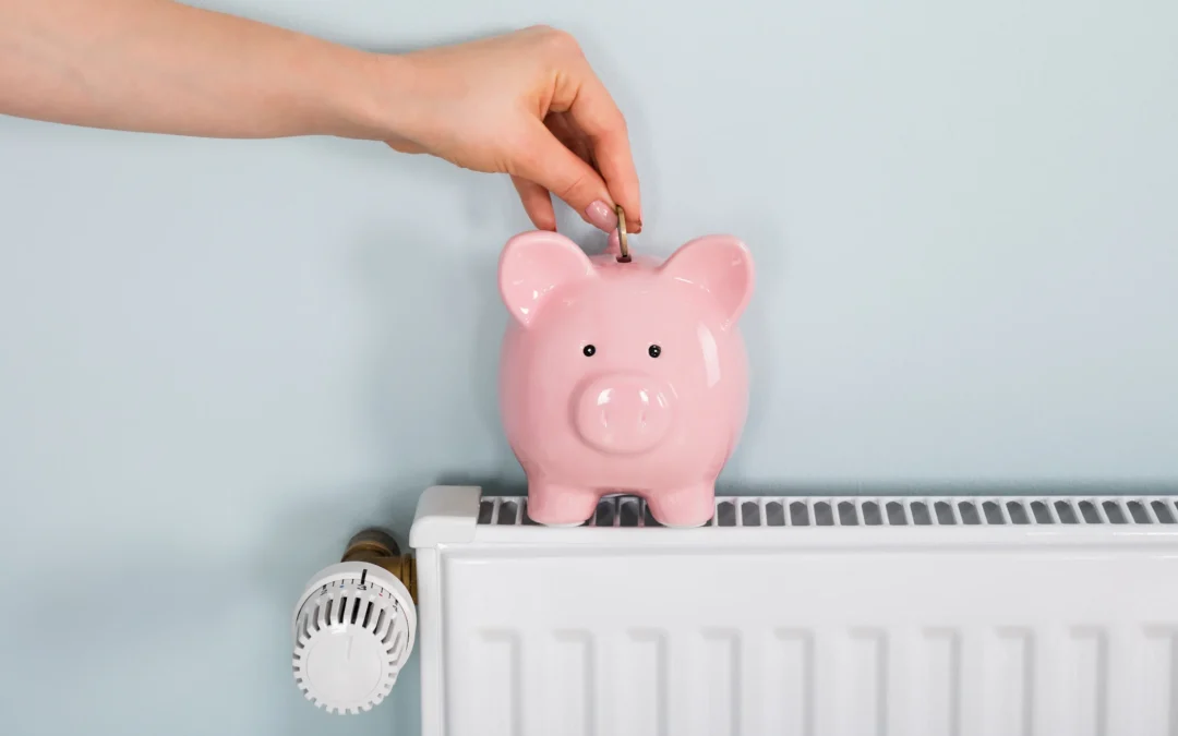 Verduurzamen zonder zorgen: jouw financiële opties op een rij
