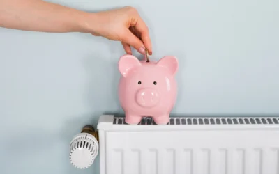 Verduurzamen zonder zorgen: jouw financiële opties op een rij